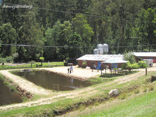 Alpine Trout Farm