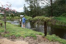 Alpine Trout Farm