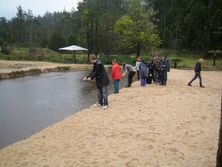 Alpine Trout Farm