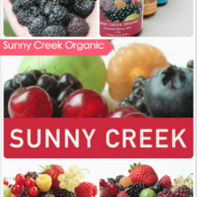 Sunny Creek Organic Berry Farm